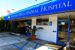 Newport Mesa Animal Hospital, vets in Newport Beach, CA, Orange County vets California, veterinarians near Newport Beach, Cali